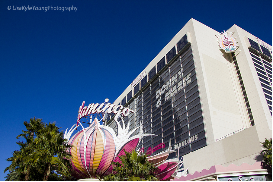 Las Vegas Flamingo