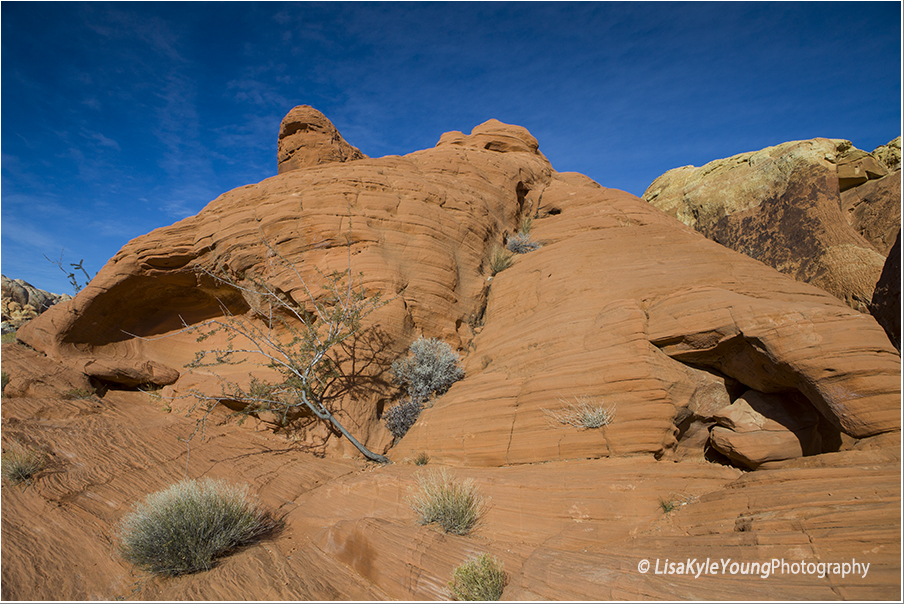Beehive hike Valley of Fire