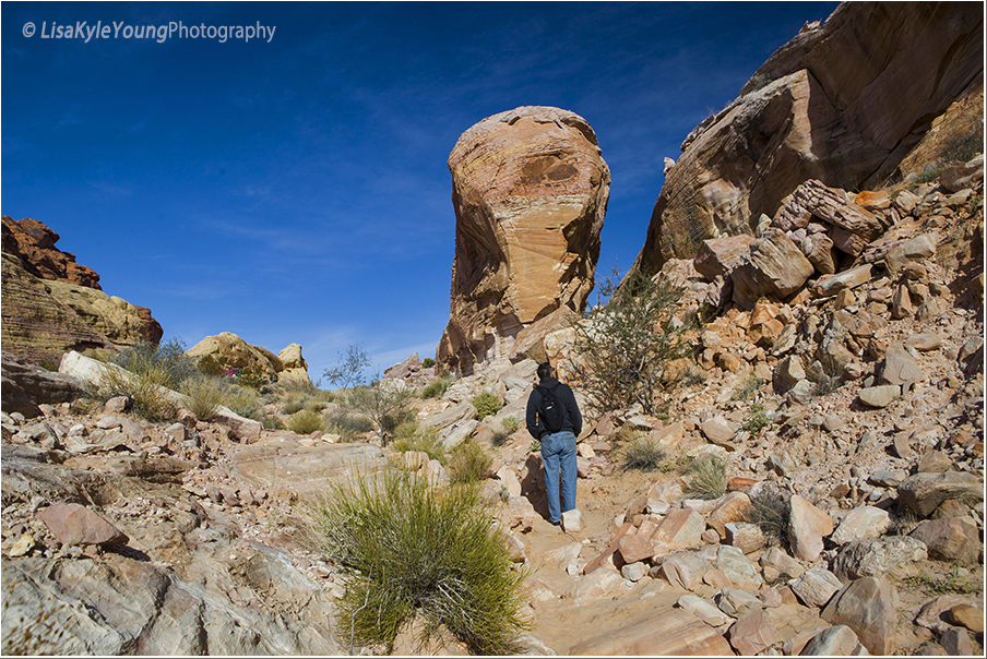 White Domes Valley of Fire