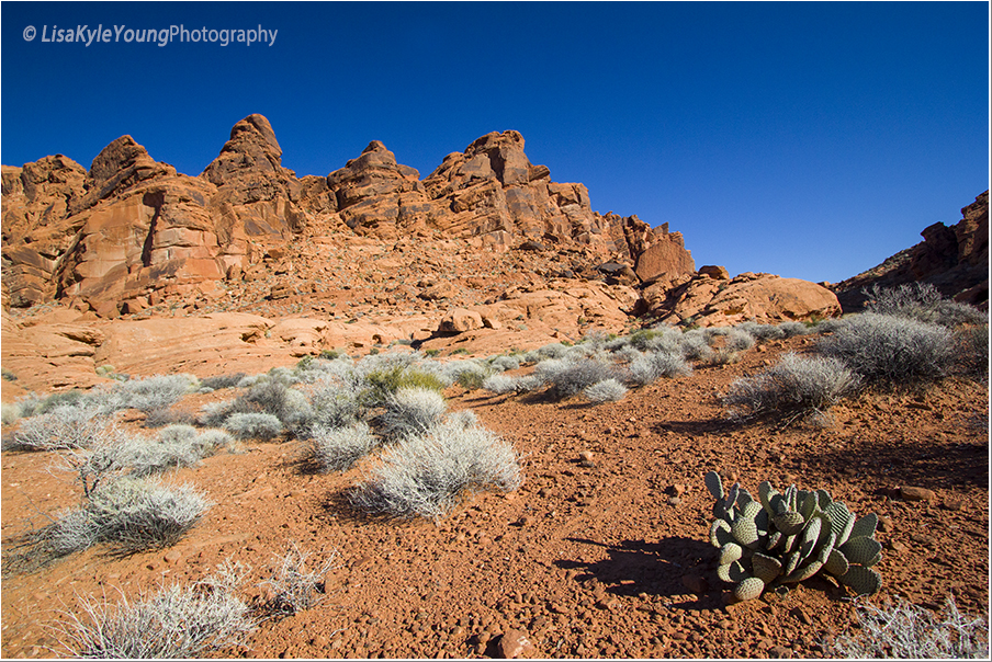 Beehive hike Valley of Fire