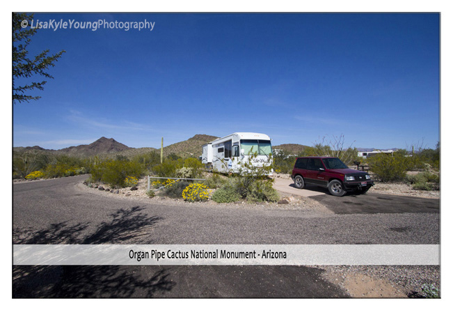 Those Young Guys - Organ Pipe National Monument
