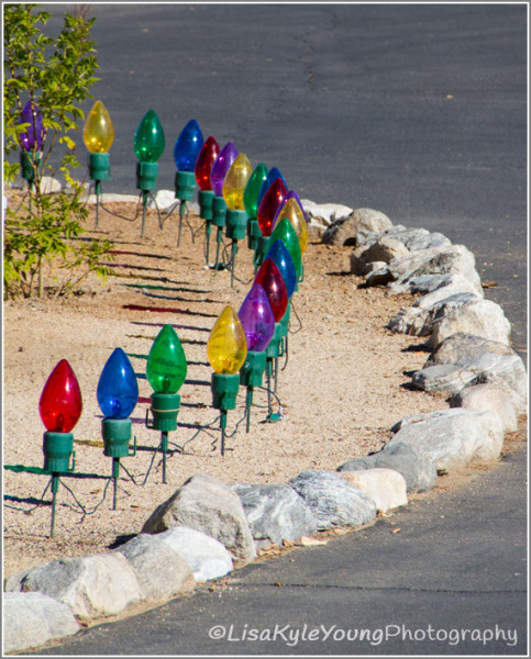 Borrego Springs Holiday Lights